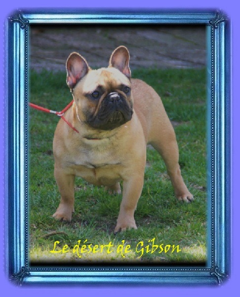 Julka du Clos des Papillons