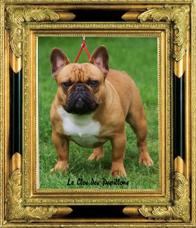 H'apache du domaine de Bodaway