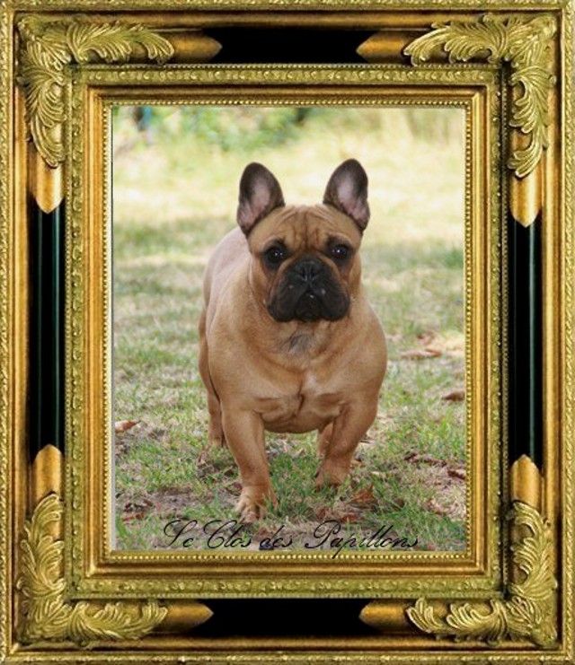 Oktavya Du Désert De Gibson